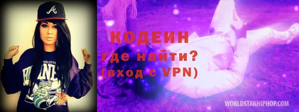 хмурый Алексин