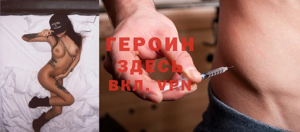 хмурый Алексин