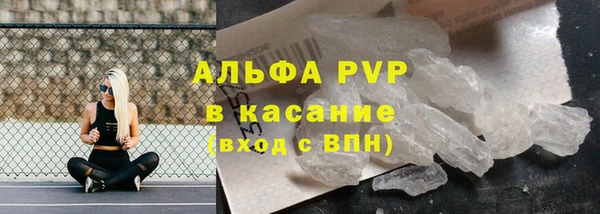хмурый Алексин