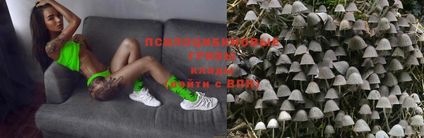 хмурый Алексин